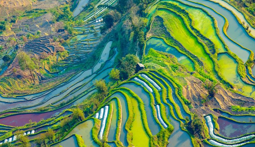宝妈必备神器：新抚区产品视频拍摄轻松育儿好帮手