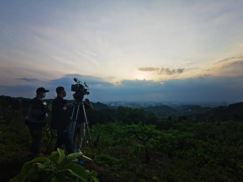 聚焦新抚区产品宣传视频拍摄公司，用专业实力铸就品牌传播传奇